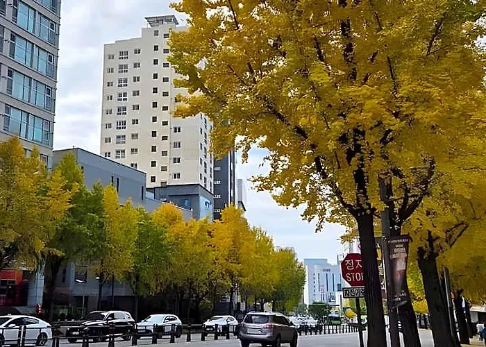 Hotel Sinchon Lets Seul