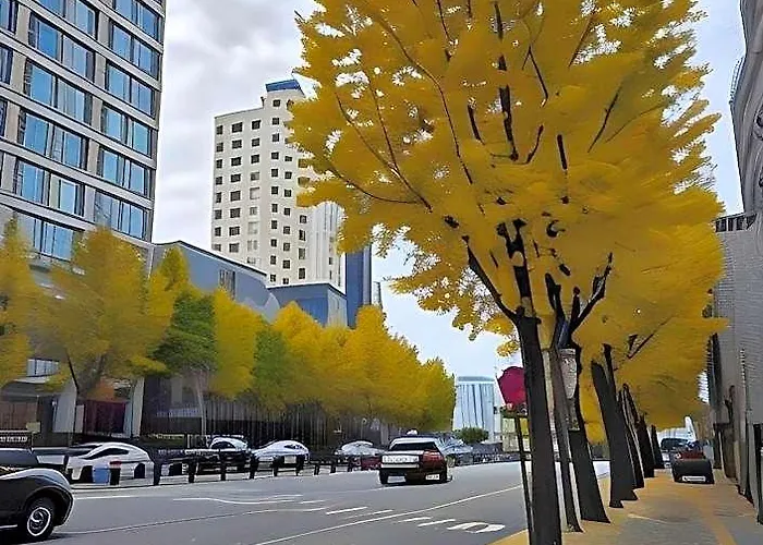 Sinchon Lets Seul