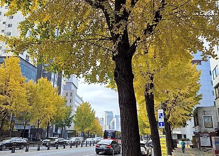 Hotel Sinchon Lets Seul