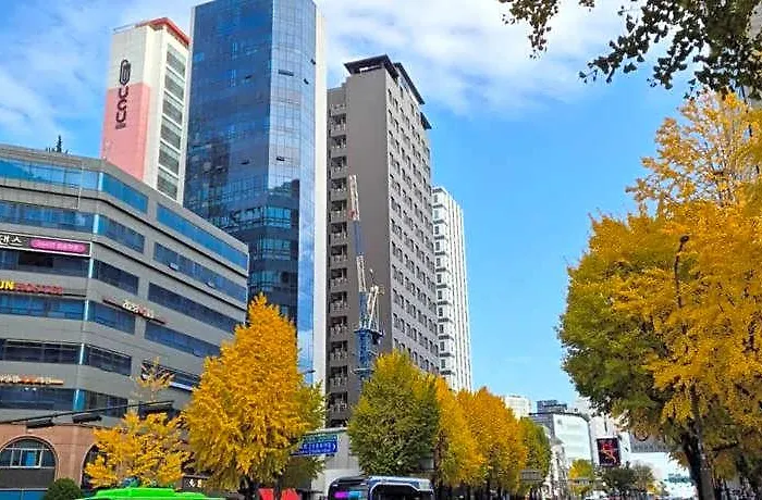 Sinchon Lets Seul